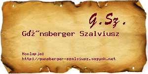 Günsberger Szalviusz névjegykártya